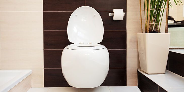 toilette suspendue