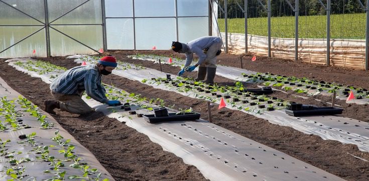 Responsabilité Élargie Producteur